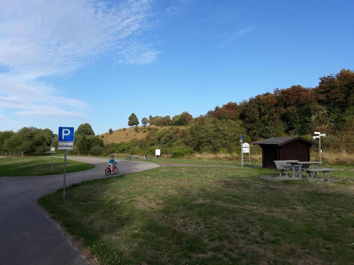 Ferienwohnung An Der Kleinen Schreinerei Hallschlag المظهر الخارجي الصورة